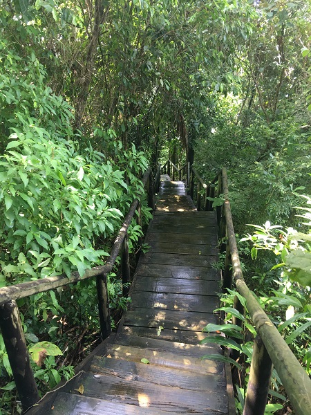 Manuel Antonio Lookout Stairs