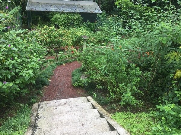 Stairs down to the butterfly garden at the La Fortuna Waterfall and Ecological Reserve